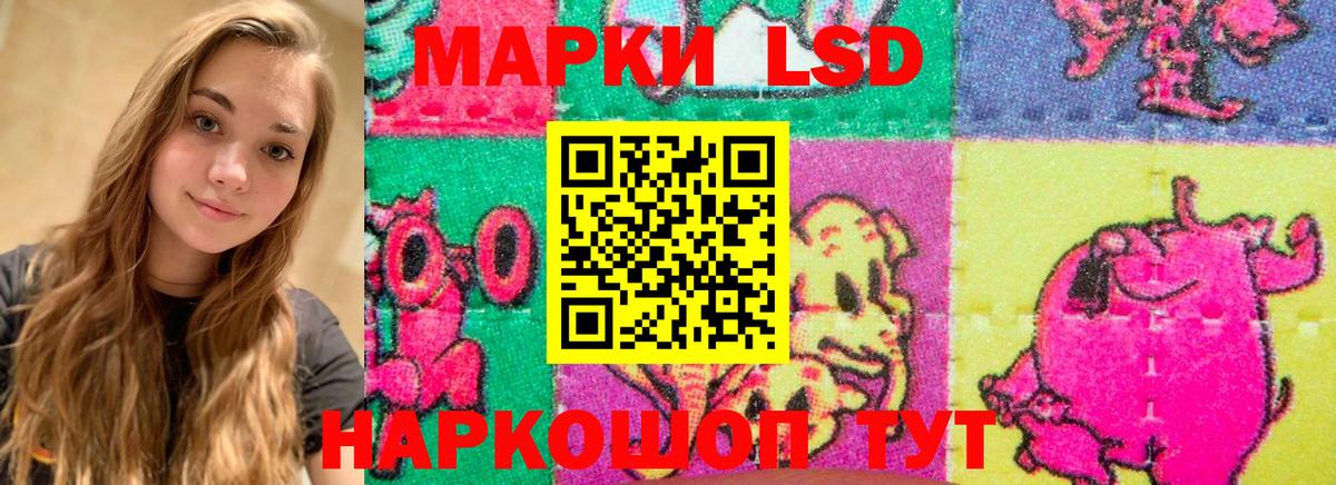 гидра сайт  Вход с VPN  Губкинский  ЛСД экстази кислота  ЛСД экстази ecstasy 
