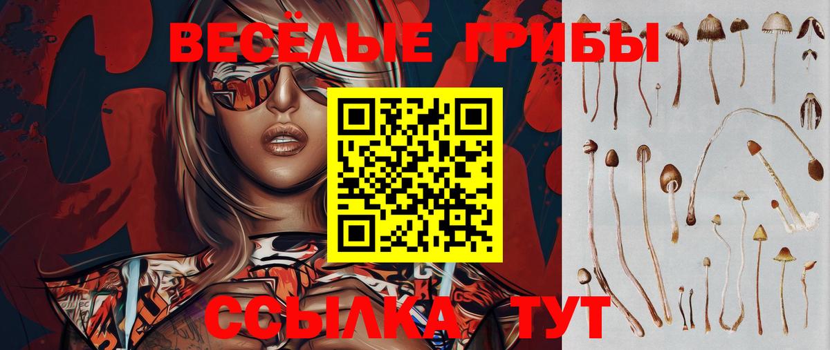 Галлюциногенные грибы GOLDEN TEACHER Губкинский
