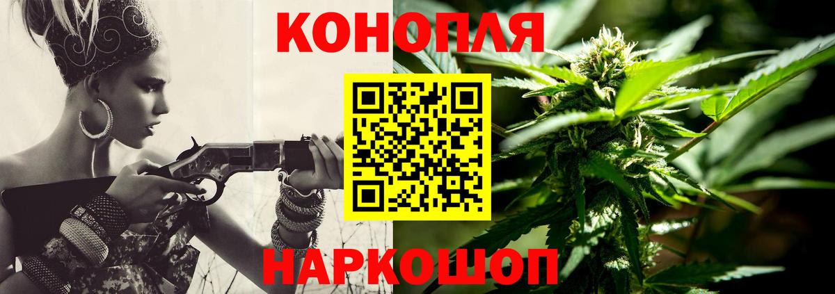 Каннабис OG Kush Губкинский